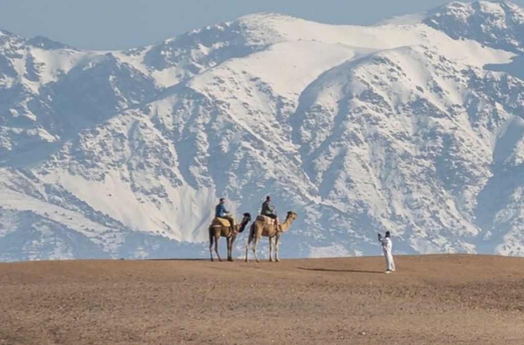 Camel ride in Agafay desert