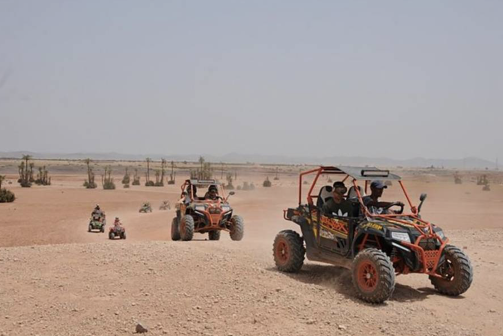 Buggy Adventure in Palmeraie Oasis